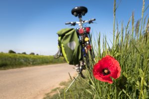 Bicicleteándo Flandes